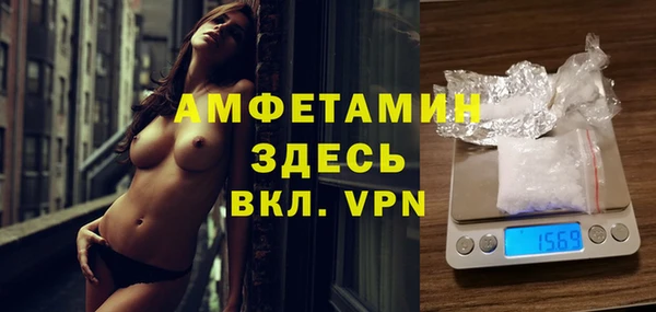 шишки Алексин