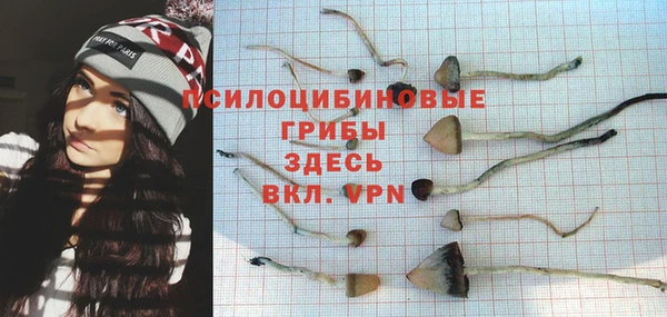 шишки Алексин