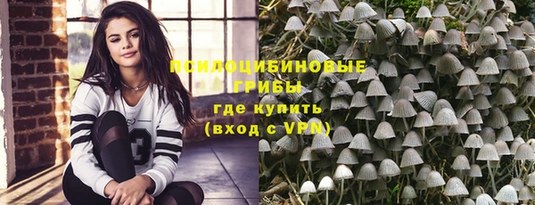 шишки Алексин