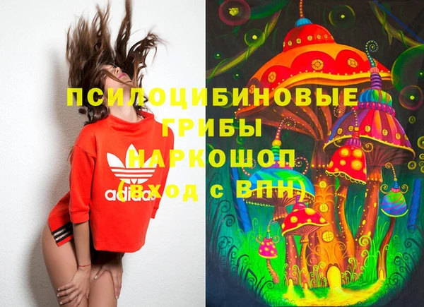 крисы Алексеевка